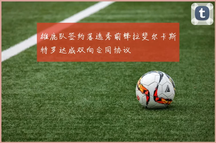 雄鹿队签约落选秀前锋拉斐尔卡斯特罗达成双向合同协议