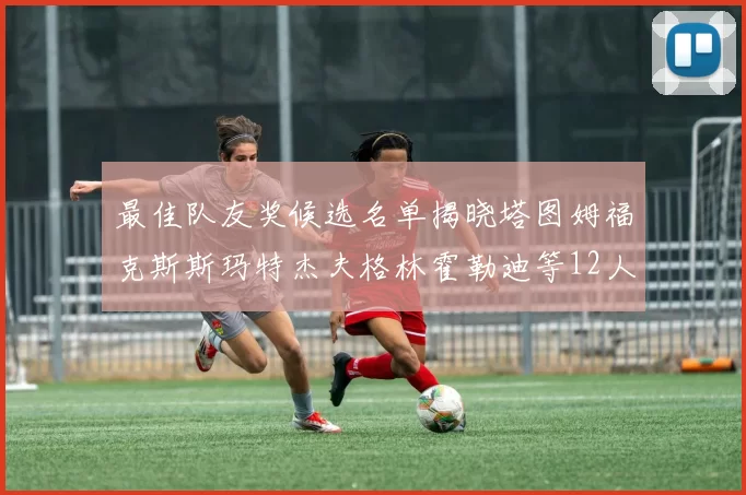 最佳队友奖候选名单揭晓塔图姆福克斯斯玛特杰夫格林霍勒迪等12人争夺荣耀